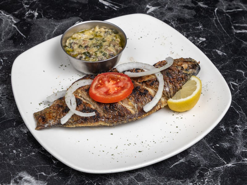 Tilapia